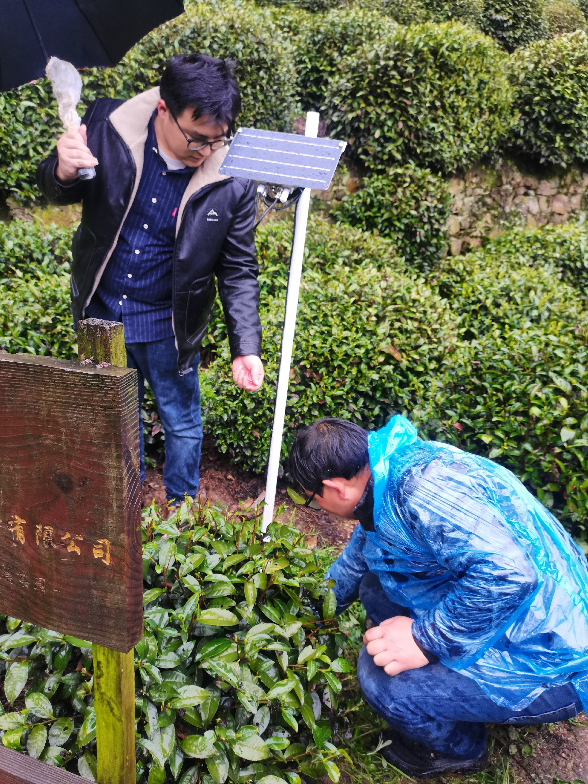 1647223946104200.jpg 1647223946104200.jpg